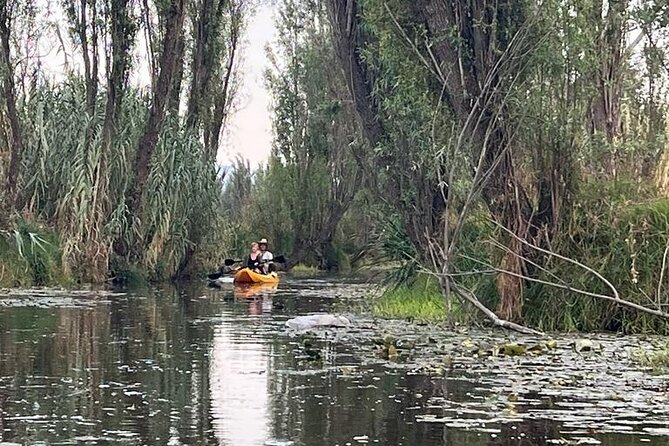 3 Hours of Kayaking at the Ancient Canals of Xochimilco - Key highlights to watch for