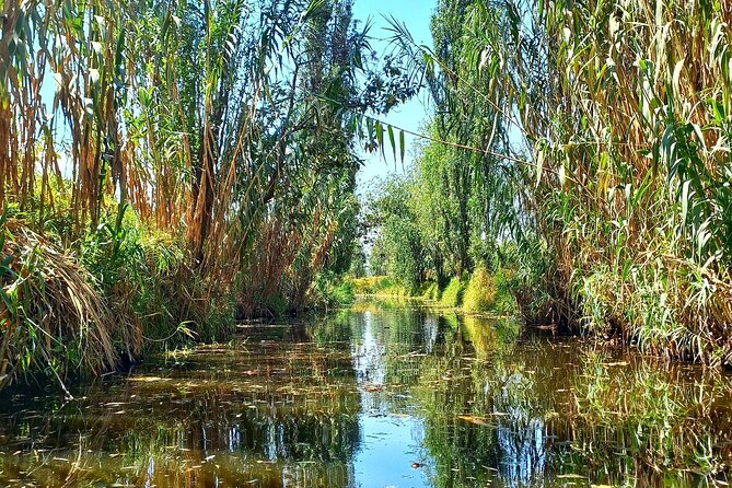 3 Hours of Kayaking at the Ancient Canals of Xochimilco - Chinampas from the water: seeing prehispanic farming in action