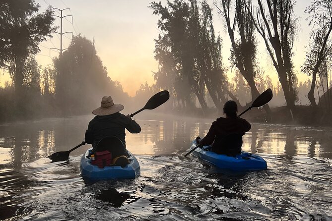 3 Hours of Kayaking at the Ancient Canals of Xochimilco - Wildlife spotting that feels personal (not random)