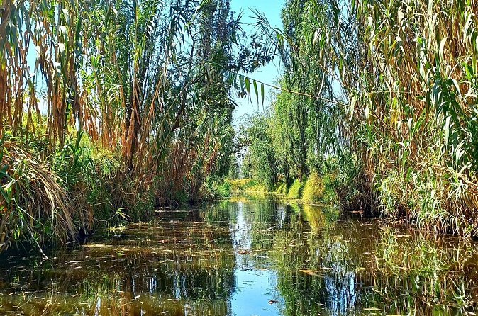 3 Hours of Kayaking at the Ancient Canals of Xochimilco - Grant and the guide-led vibe: history plus current realities