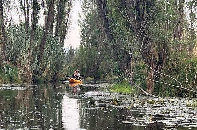 3 Hours of Kayaking at the Ancient Canals of Xochimilco - Paddling reality: comfort, clothing, and your personal pace