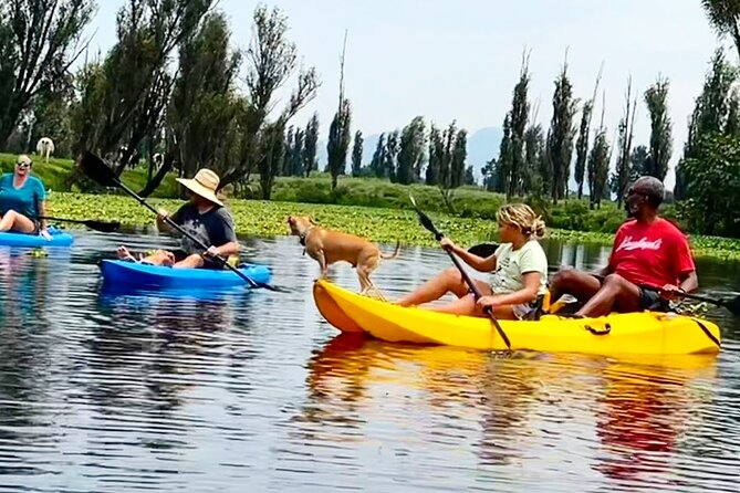 3 Hours of Kayaking at the Ancient Canals of Xochimilco - Price and value: what $71.65 buys you