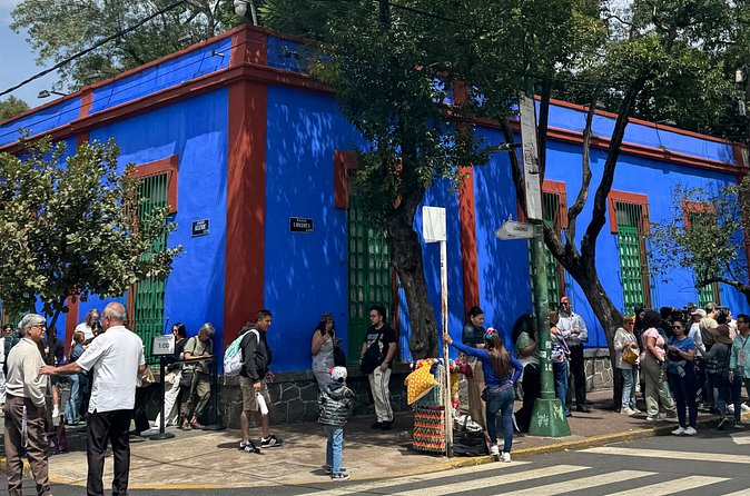 Admission Tickets to Anahuacalli Museum and Frida Kahlo - Who this admission pass suits best