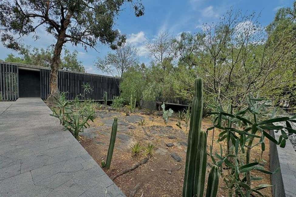 Anahuacalli Museum Guided Tour - Practical tips so the museum clicks fast