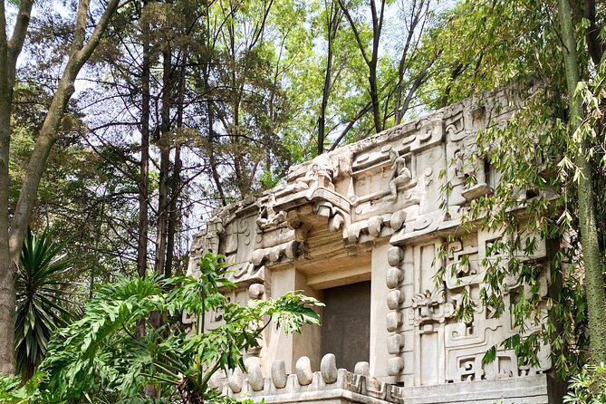 Anthropology Museum Early Access Tour - The real “tour experience”: a guided overview you can build on