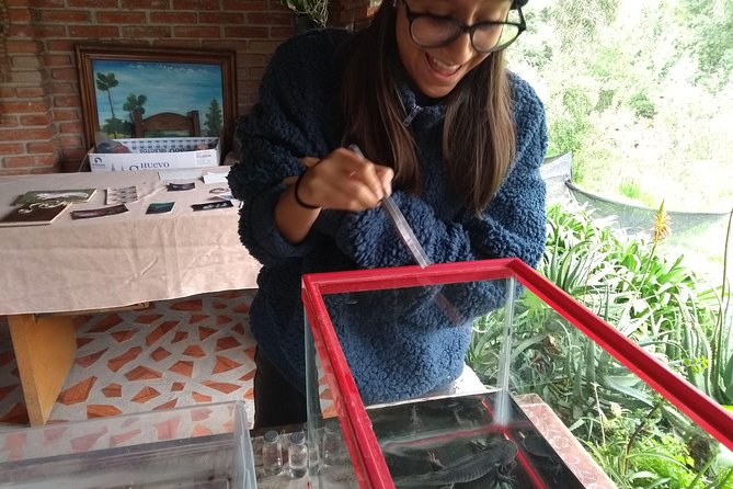 Axolotl Tour from CDMX - Tepotzotlan time: optional town wandering and ice cream breaks