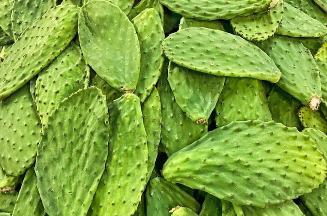 Best of Roma Sur Food Crawl in Mexico City - Guide-led storytelling: why the history part doesn’t feel random