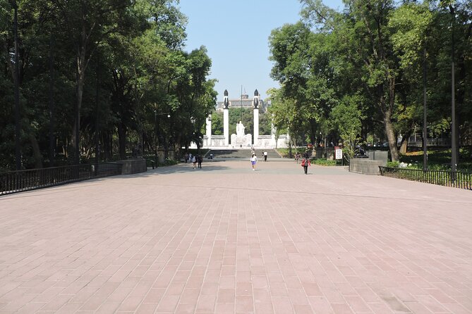 Bike tour in the Chapultepec Forest and Roma Condesa - Who Should Book This Chapultepec and Roma–Condesa Bike Ride?
