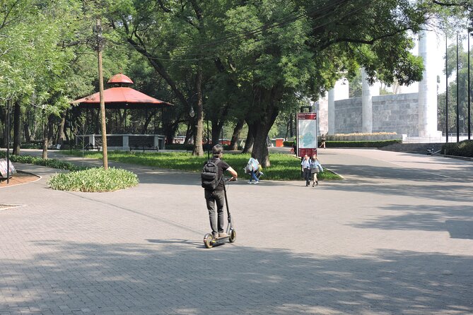 Bike tour in the Chapultepec Forest and Roma Condesa - The Monday Plan: Roma Sur Steps In When the Forest Closes