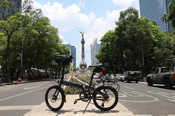 Bike Tour through Chapultepec, Reforma and the Zócalo / Mexico - Stop 5: Mercado de San Juan—Exotic Bites, Mezcal Courage, and Real Shopping Time