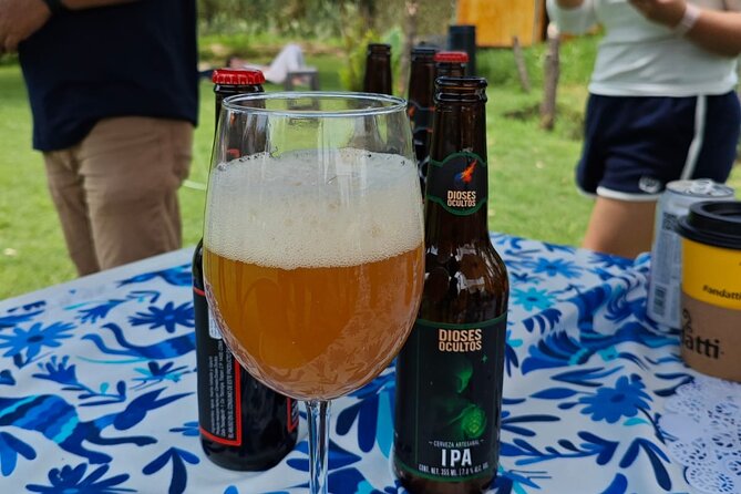Brunch at Xochimilco, México City. - Should You Book Brunchtl’s Floating Garden Brunch?