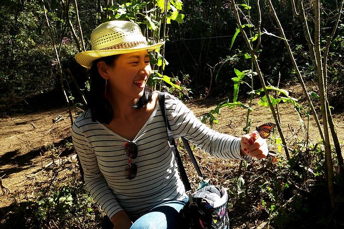 Butterfly Monarch Tour from Mexico City - The hike: elevation, stamina, and optional horses