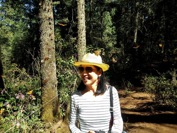 Butterfly Monarch Tour from Mexico City - What you eat: workshop-style Mexican food and Michoacán lunch