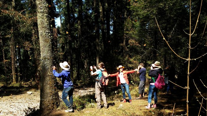 Butterfly Monarch Tour from Mexico City - Guides and timing: what makes the experience feel personal