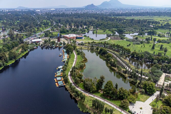 CDMX Enjoy a unique tour of Xochimilco and Coyoacán - The “long day” issue: bus time, group size, and language juggling