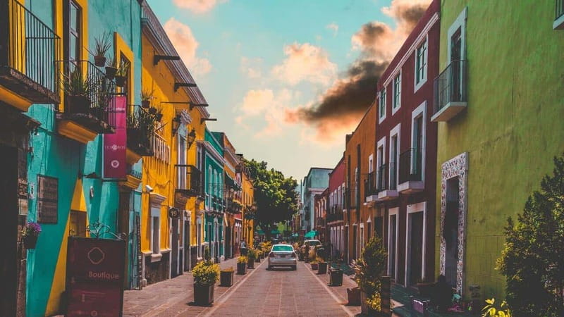 CDMX: Neighborhoods Contrasts Private Tour - Key highlights that make this tour worth your time
