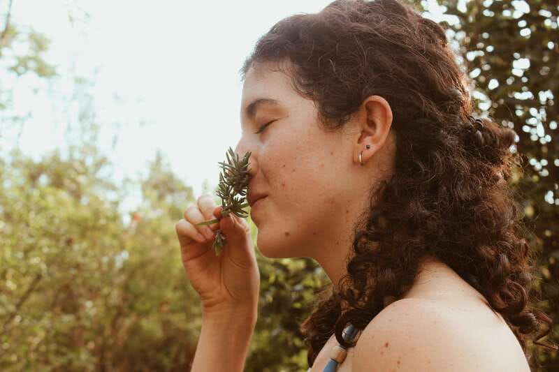 CDMX: TEMAZCAL Healing & cleansing ceremony ritual zapoteco - The Ectágono setting and the medicinal garden link