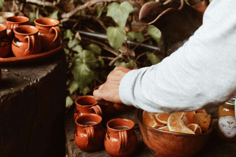 CDMX: TEMAZCAL Healing & cleansing ceremony ritual zapoteco - What the temazcal means: healing, four elements, and rebirth