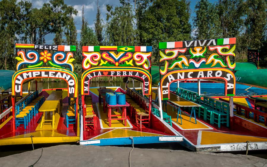 CDMX: Tour of Xochimilco and Coyoacán with option to visit the Frida Kahlo Museum - Key highlights worth your attention