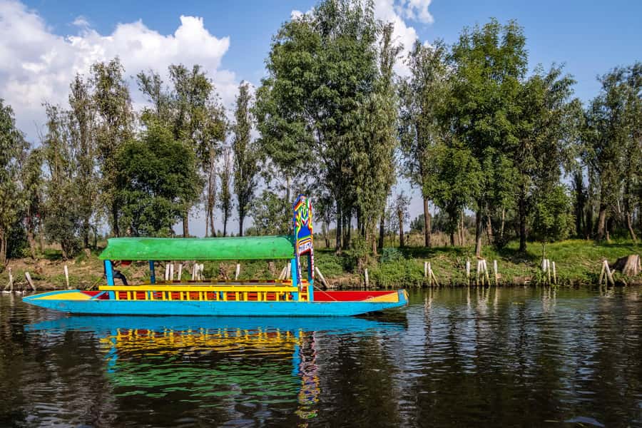 CDMX: Tour of Xochimilco and Coyoacán with option to visit the Frida Kahlo Museum - Coyoacán on foot: cobblestones, artists, and café breaks
