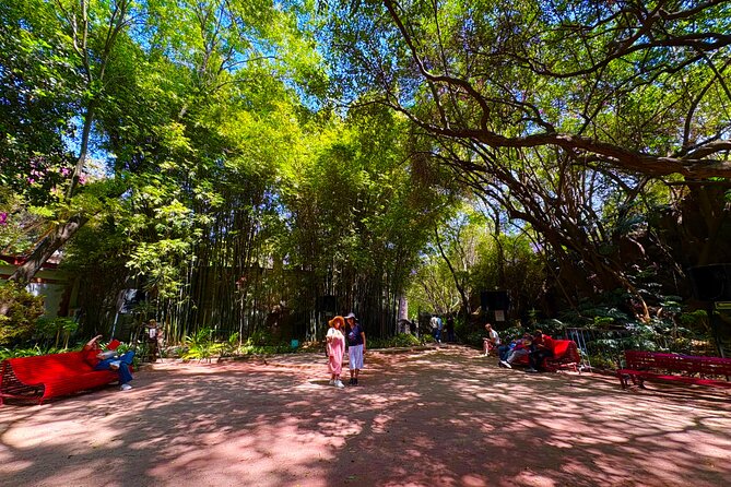 Chapultepec Castle & forest: History, Nature, and Hidden Secrets - Moctezuma’s Baths: ancient practices, seen through a short guided lens