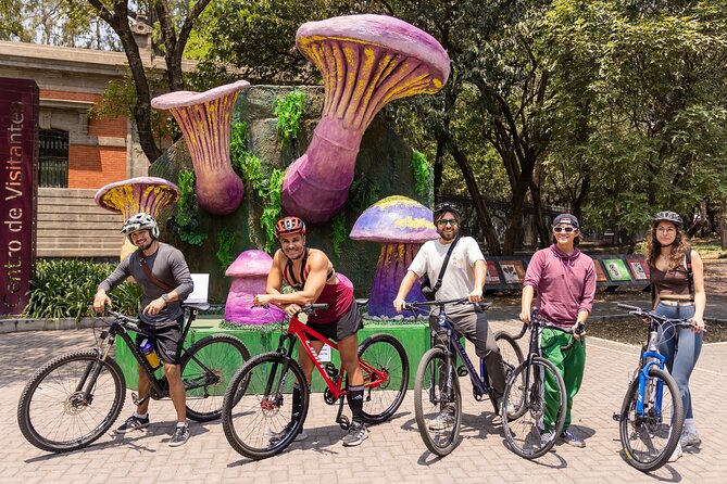 Chapultepec Castle or Anthropology Museum bike tour - Stop 1: Museo Nacional de Antropología and the Mexica Room