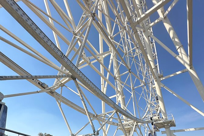 Chapultepec Park and Ferris Wheel Bike Tour - Group Style and Solo-Traveler Friendliness
