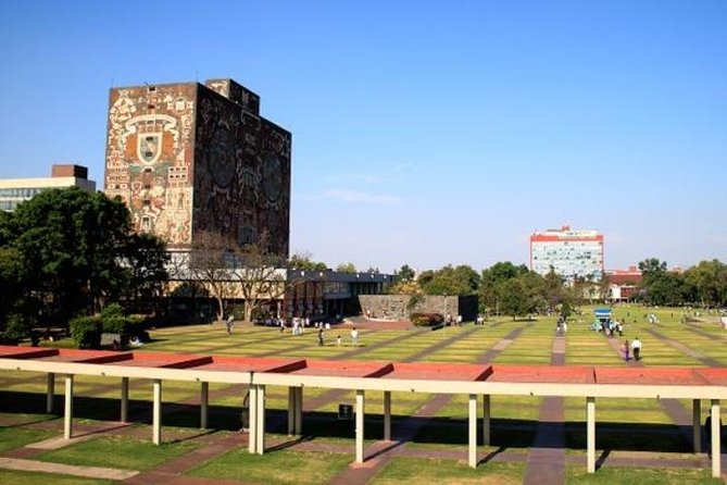 City Tour and Xochimilco Floating gardens - Metropolitan Cathedral: Quick, Free, and Worth the Quick Look Up