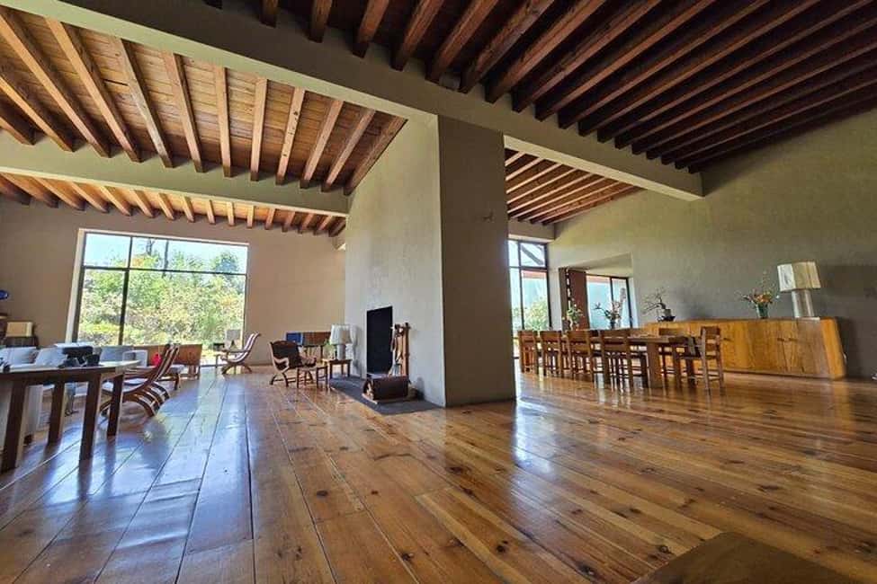 CMDX: Luis Barragan Legacy Exclusive Tour at Casa Pedregal - Your Guided Walk: Gardens, Natural Light, and Barragán’s Iconic Spaces