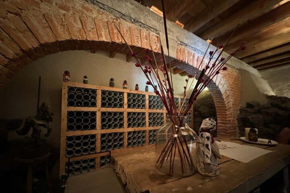 CMDX: Luis Barragan Legacy Exclusive Tour at Casa Pedregal - What the 30-Minute Hop-On Hop-Off Window Actually Gives You