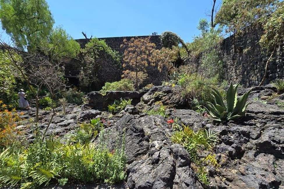 CMDX: Luis Barragan Legacy Exclusive Tour at Casa Pedregal - Who Should Book This Tour (and Who Might Skip It)