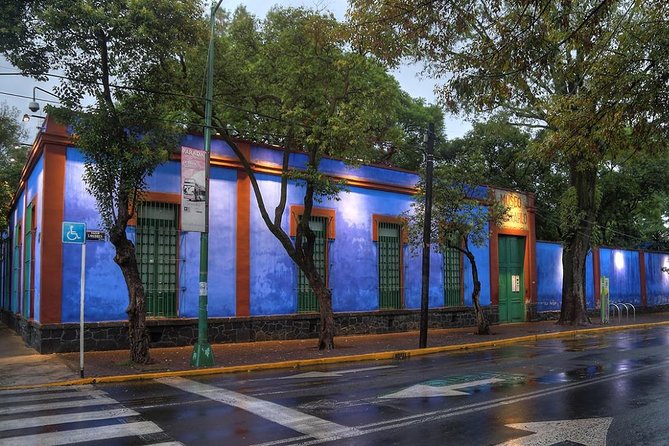 Coyoacán and Xochimilco including Frida Kahlo Museum - The trajinera cruise: colorful boats, chinampas views, and a party-like sales scene