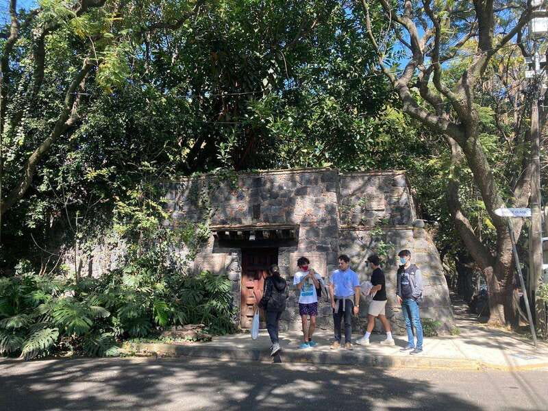 COYOACAN: FRIDA KAHLO STEPS IN COYOACAN AND SAN ANGEL CDMX - Key things I’d want you to notice before booking