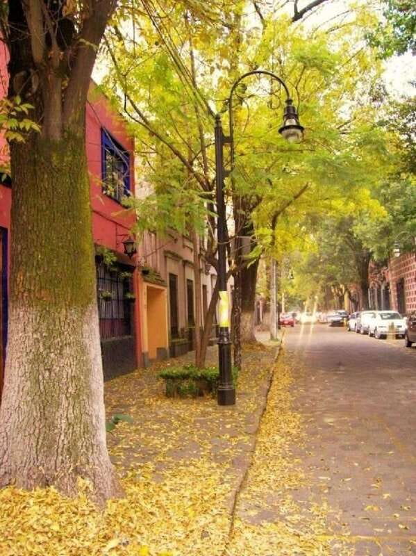 COYOACAN: FRIDA KAHLO STEPS IN COYOACAN AND SAN ANGEL CDMX - Price and value: is $75 worth it for this format?