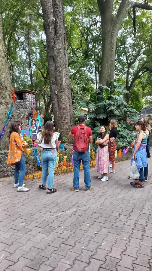 Coyoacan, history and life in a magical neighborhood - Key points I’d plan around