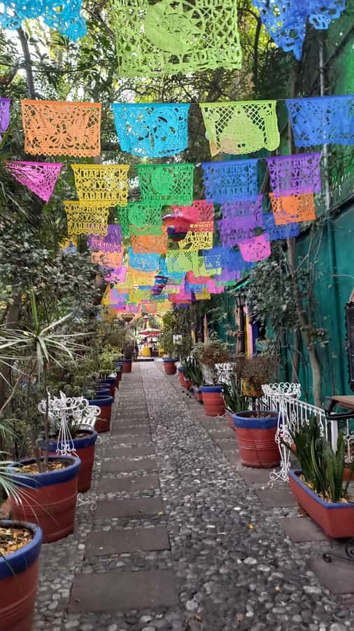 Coyoacan, history and life in a magical neighborhood - Coyoacán’s mix of old and lived-in Mexico City