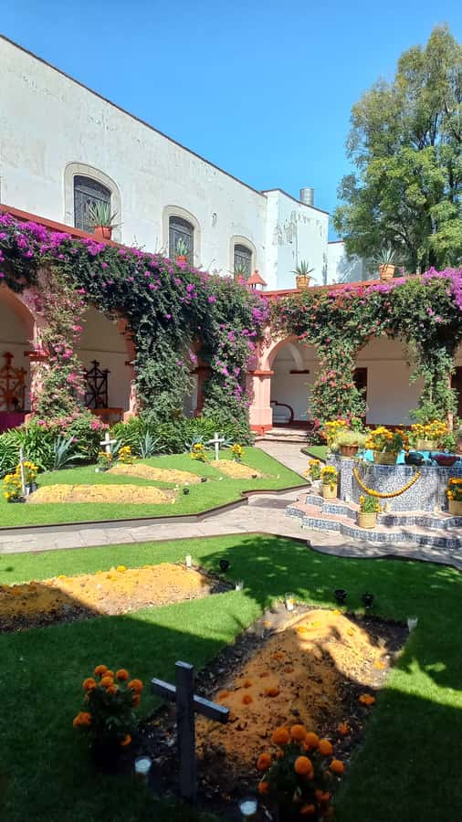 Coyoacan, history and life in a magical neighborhood - Santa Catarina Park and the alleys south of Coyoacán
