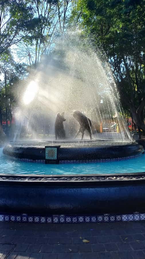 Coyoacan, history and life in a magical neighborhood - Main avenue to the central square: architecture you actually get to walk