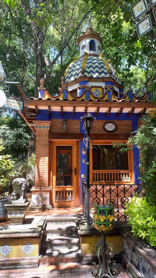 Coyoacan, history and life in a magical neighborhood - Guide style, group size, and why the storytelling lands