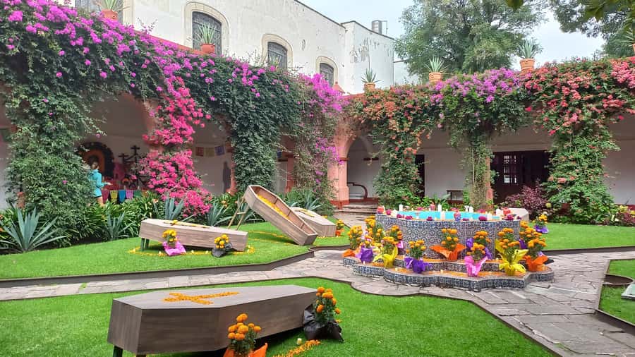 Coyoacan, history and life in a magical neighborhood - Price check: does $19 really deliver value?