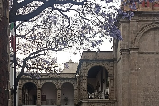 Curious and original Tour in the Historic Center of CDMX - Gran Hotel Ciudad de México: The Stained Glass Moment