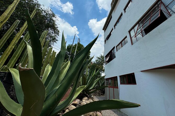 Diego Rivera Frida Kahlo Studio House Tour - Guides can make or break the experience (so plan around English)