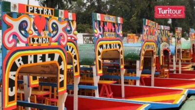 Discover Xochimilco and Coyoacán: Tradition, Music, Culture - Xochimilco canals by trajinera: the real show