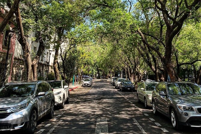 Epic Condesa and Roma Norte Walking Tour - UNAM’s book house, Sagrada Familia, and the Plaza Rio de Janeiro pair