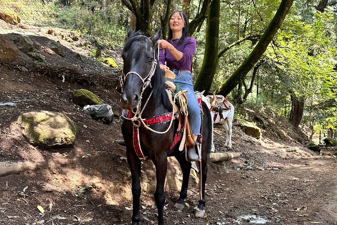 Exclusive Horseback Ride w/ Mexican Charros Family in México City - Start at Alfonso Reyes: meeting the family vibe with Luis