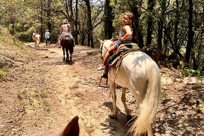 Exclusive Horseback Ride w/ Mexican Charros Family in México City - The 2.5+ hour horseback route through pine, streams, and river edges