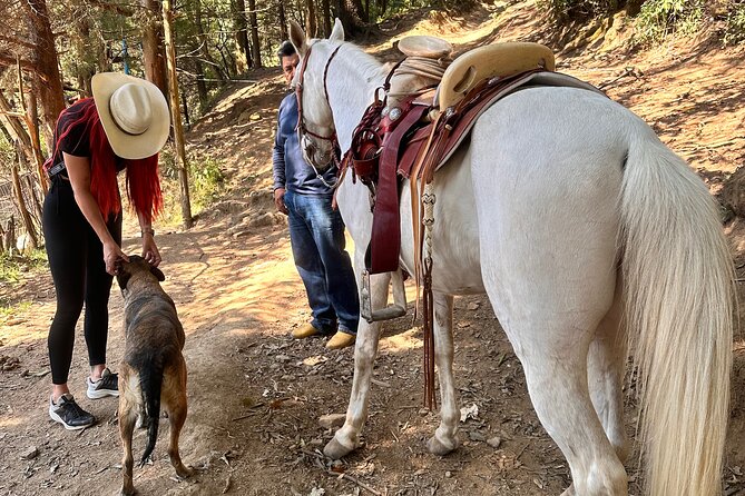 Exclusive Horseback Ride w/ Mexican Charros Family in México City - How the guides keep you safe without killing the fun