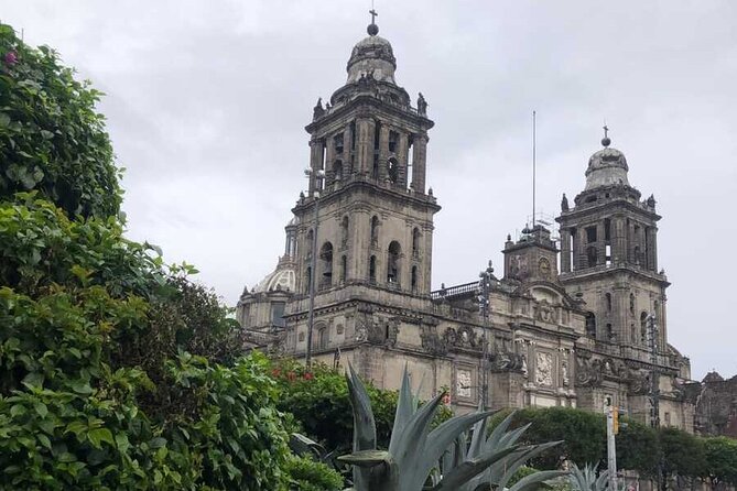 EXCLUSIVE TOUR Metropolitan Cathedral - Small Groups - Key highlights you’ll care about