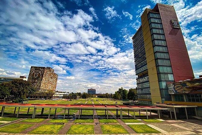 EXCLUSIVE TOUR: Murals+Ciudad Universitaria Stadium-small groups - Diego Rivera Murals: What to Look For and What Might Be Covered