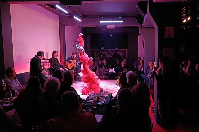 Flamenco Live Show and Dinner in Mexico City - Who should book this flamenco night in CDMX